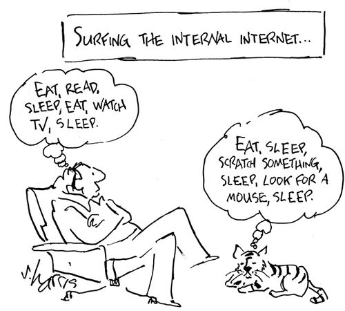 Surfing the internal internet...