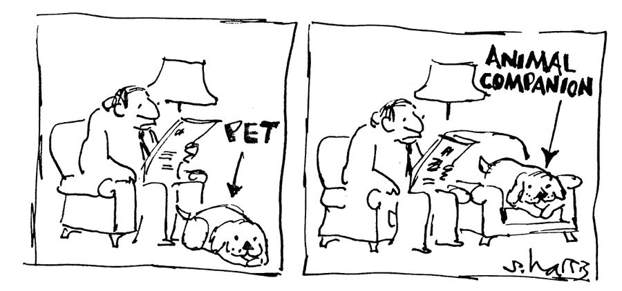 Pet and Animal Companion