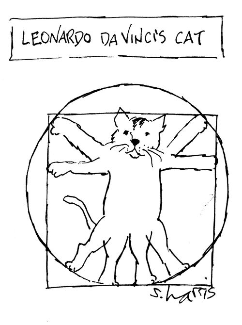 Leonardo Da Vinci's Cat