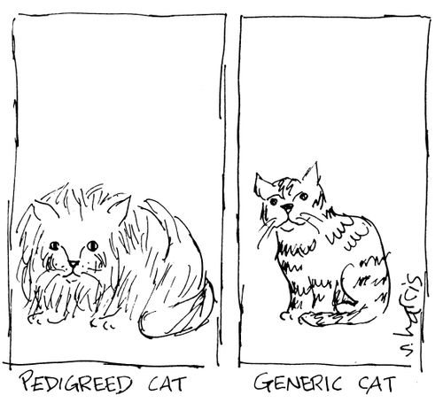 Pedigreed Cat and Generic Cat
