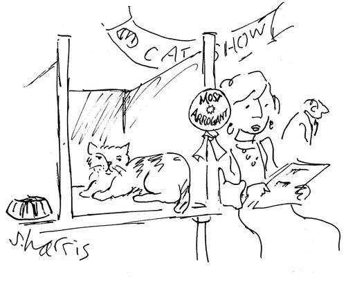 Cat Show: Most Arrogant