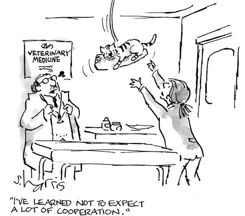 "I've learned not to expect a lot of cooperation."