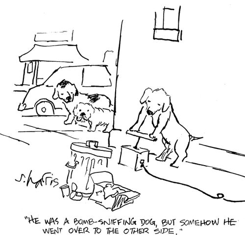 "He was a bomb-sniffing dog, but somehow he went over to the other side."
