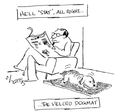 He'll 'stay', all right..on the velcro dogmat.