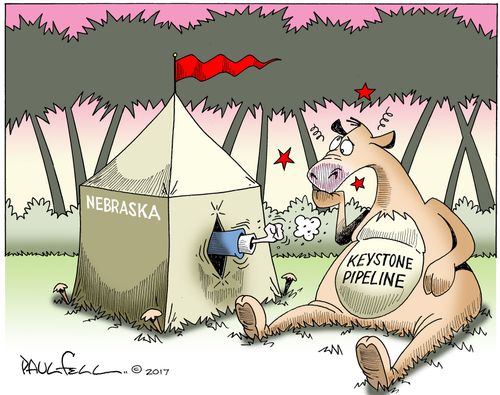 Camel In The Tent