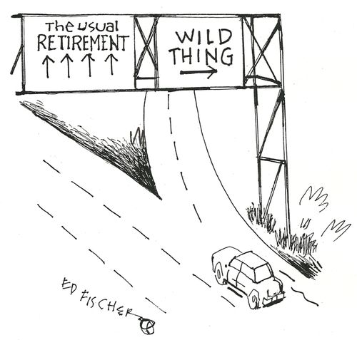 The Usual Retirement or Wild Thing