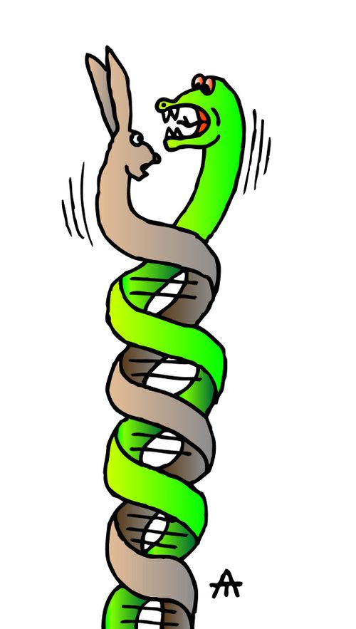 DNA
