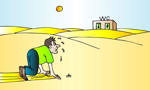 Toilets in the Desert