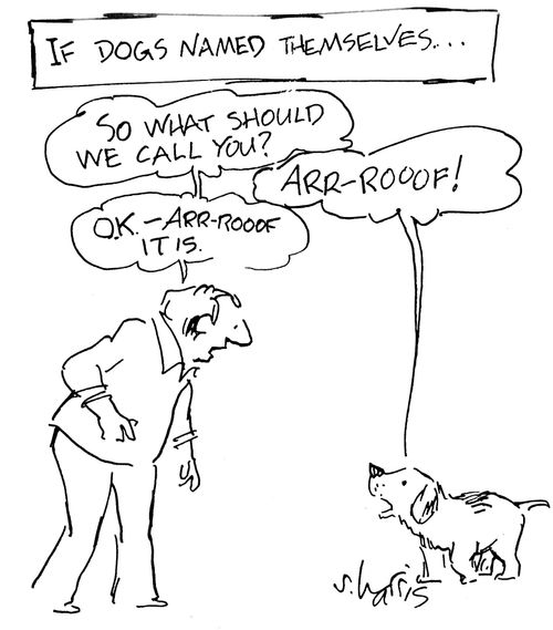 'If dogs named themselves...'