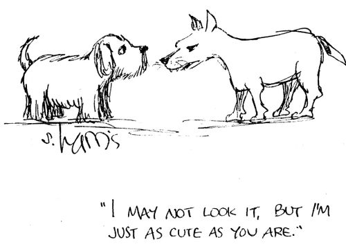"I may no look it, but I'm just as cute as you are."