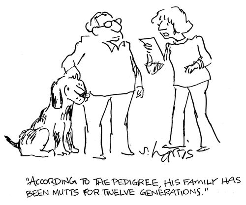 "According to the pedigree, his family has been mutts for twelve generations."