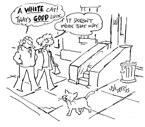 "A white cat. That's good luck."