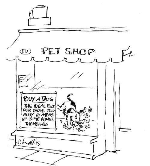 Buy a dog - the ideal pet for those too busy to mess up they homes themselves.