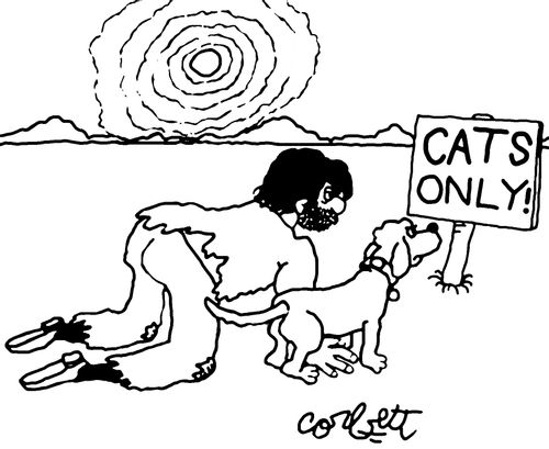 CATS ONLY!