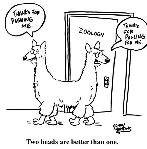 Two heads are better than one.