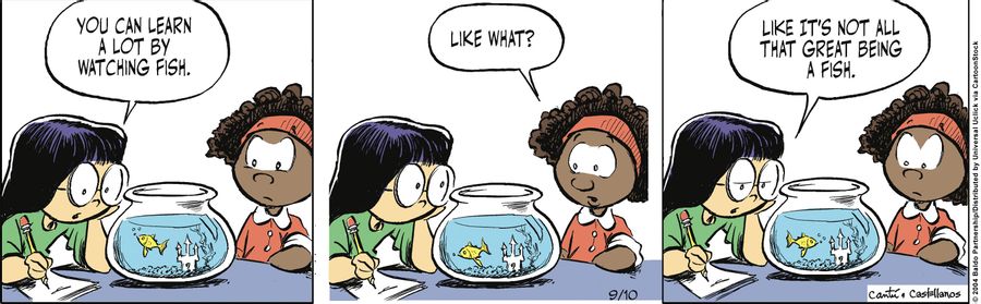 "You can learn a lot by watching fish."