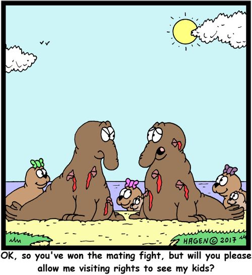 "OK, so you've won the mating fight, but will you please allow me visiting rights to see my kids?"
