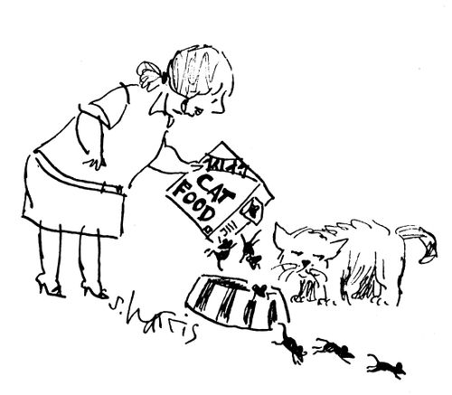 'Cat food' is mice