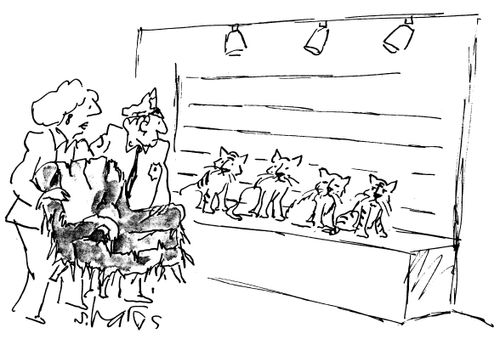 Cats in police lineup