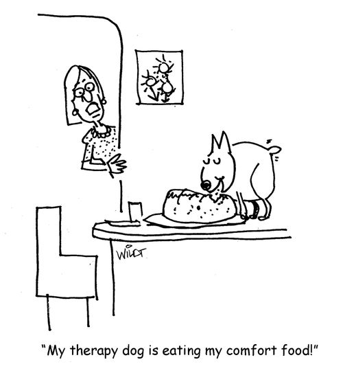 "My therapy dog is eating my comfort food!"