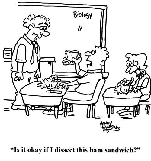 "Is it okay if I dissect this ham sandwich?"