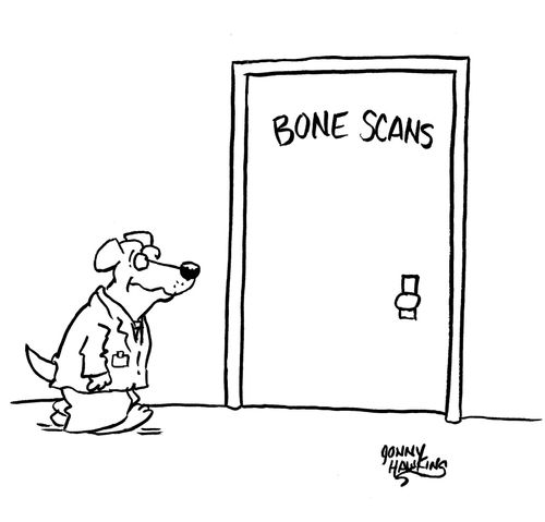 Dog Doctor goes to door that says "Bone Scans"
