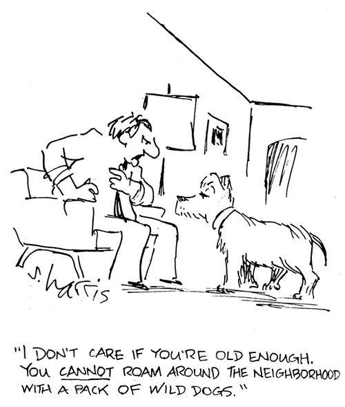 "I don't care if you're old enough. You cannot roam around the neighborhood with a pack of wild dogs."