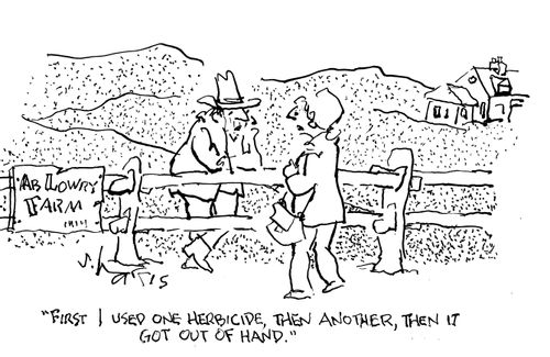 "First I used one herbicide, then another, then it got out of hand."