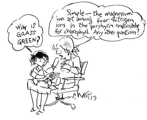 "Simple - the magnesium ion set among four nitrogen ions is the porphyrn responsible for chlorophyll.  Any other questions?"