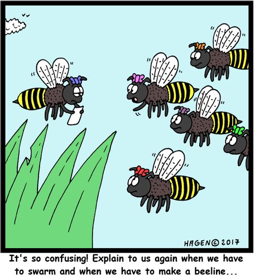 "It's so confusing! Explain to us again when we have to swarm and when we have to make a beeline..."