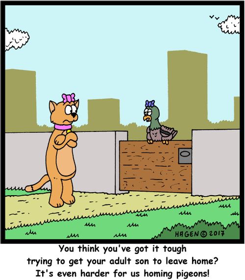"You think you've got it tough trying to get your adult son to leave home? It's even harder for us homing pigeons!"