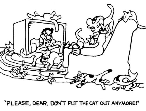 "Please, Dear, don't put the cat out anymore!"
