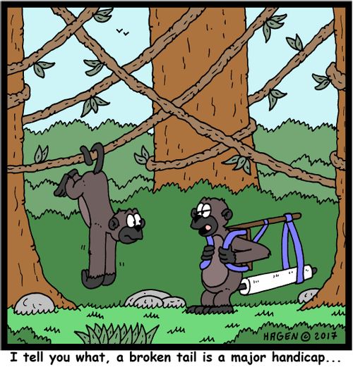"I tell you what, a broken tail is a major handicap..."