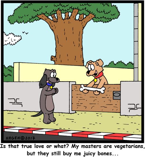 "Is that true love or what? My masters are vegetarians, but they still buy me juicy bones..."