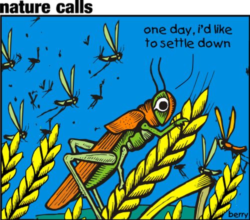 "One day, I'd like to settle down."