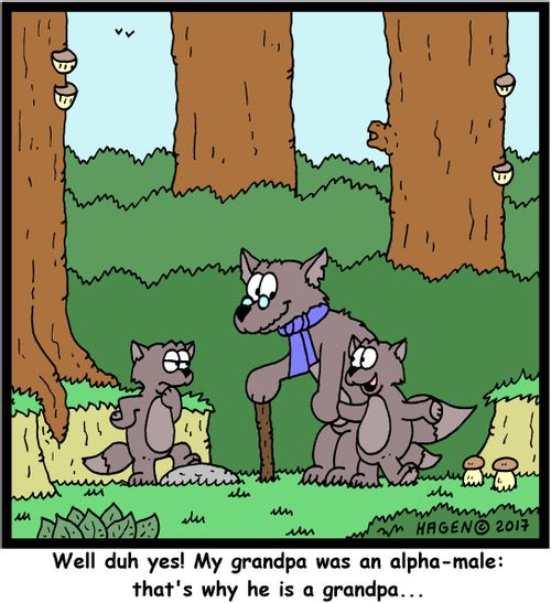 "Well duh yes! My grandpa was an alpha-male: that's why he is a grandpa..."
