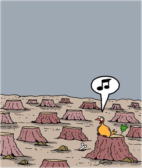 The Destruction of the Environment