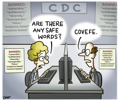 Are there any safe words? Covefe.