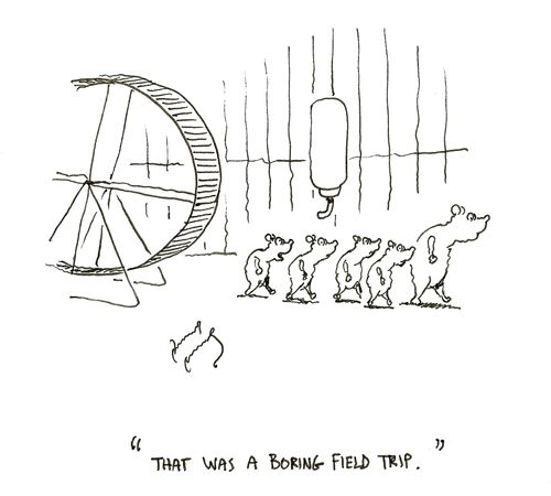 "That was a boring field trip."