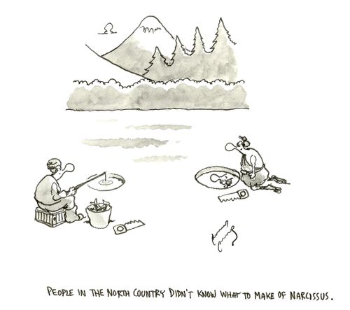 People in the north country didn't know what to make of narcissus.