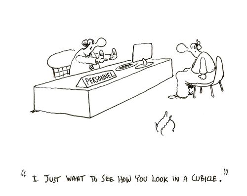 "I just want to see how you look in a cubicle."