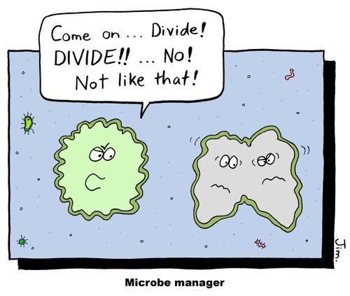 Microbe manager.
