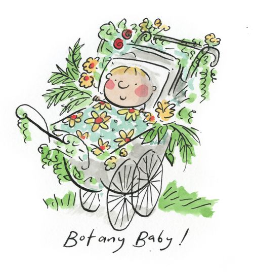 Botany Baby!
