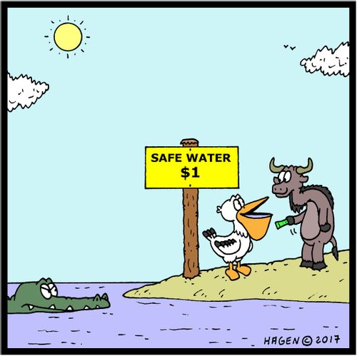 Safe Water, $1