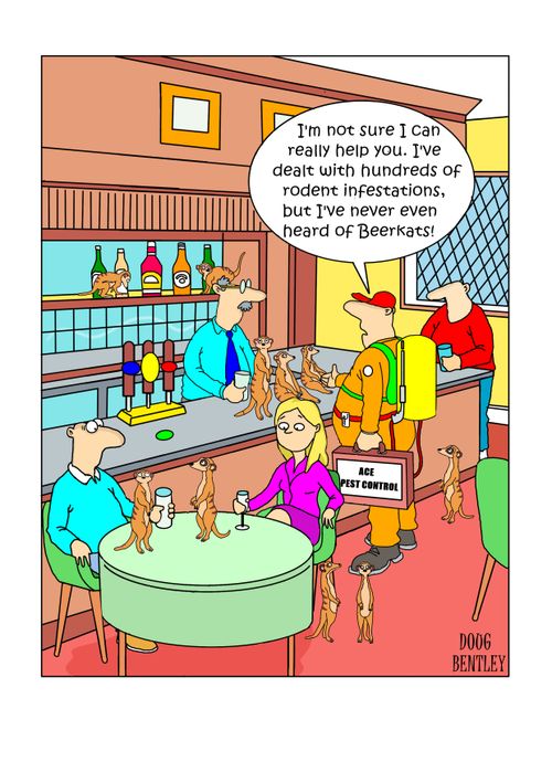"I'm not sure I can really help you. I've dealt with hundreds of rodent infestations, but I've never even heard of Beerkats!"
