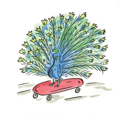 Peacock on skateboard