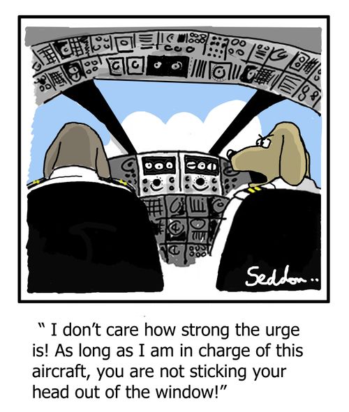 "I don't care how strong the urge is! As long as I am in charge of this aircraft, you are not sticking your head out of the window!"