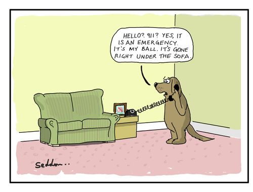 "Hello 911? Yes it is an emergency. It's my ball. It's gone right under the sofa."