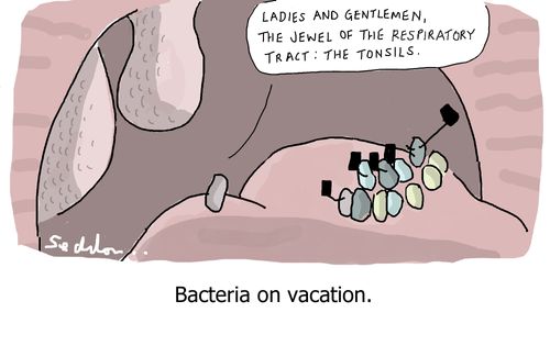 Bacteria on vacation