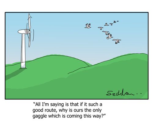 "All I'm saying is that if it such a good route, why is ours the only gaggle which is coming this way?"